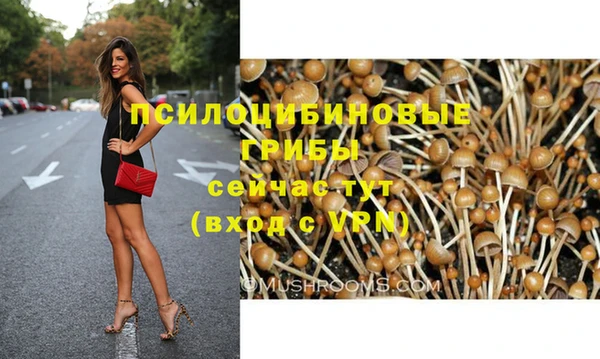 каннабис Осташков