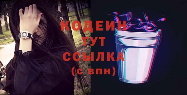 стаф Осинники