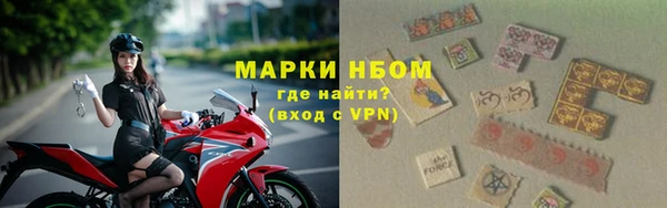 стаф Осинники