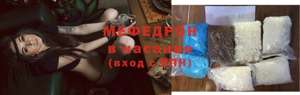 стаф Осинники