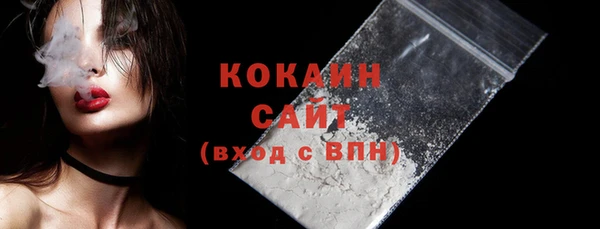 стаф Осинники