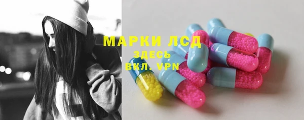 стаф Осинники