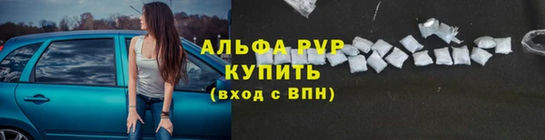 стаф Осинники