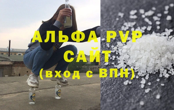 стаф Осинники