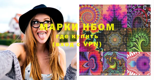 стаф Осинники
