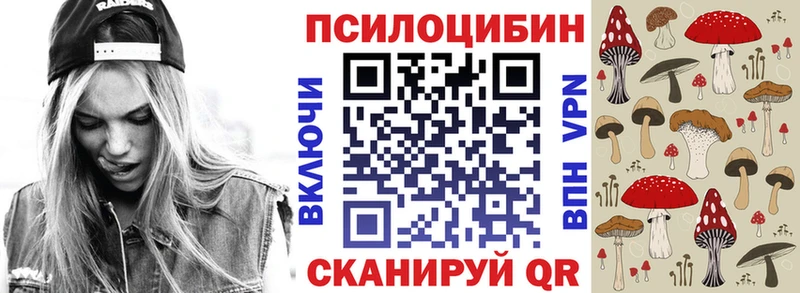 дарнет шоп  Краснообск  Псилоцибиновые грибы прущие грибы 